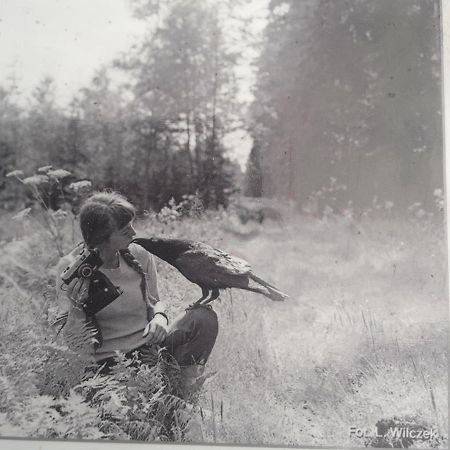 In Nature Bialowieza Bagian luar foto