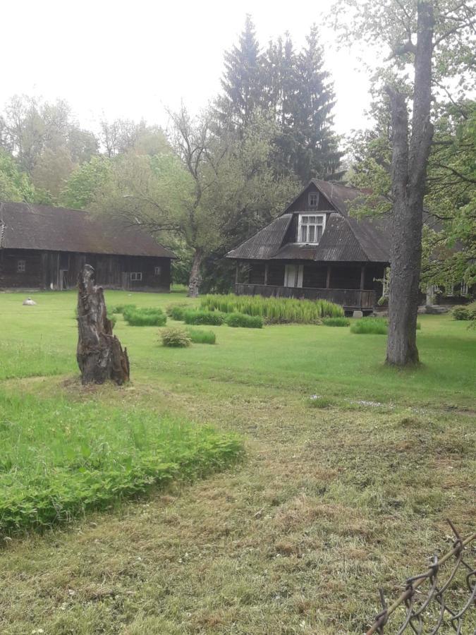 In Nature Bialowieza Bagian luar foto